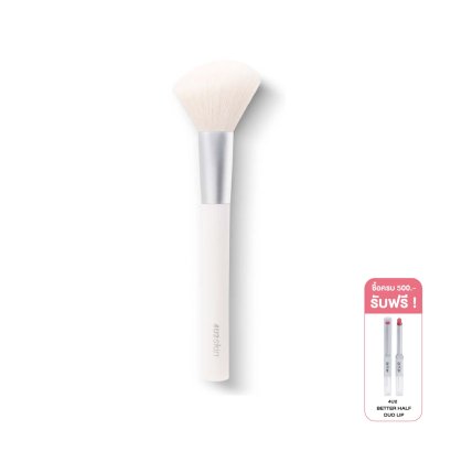 4U2 PRO BLUSH BRUSH